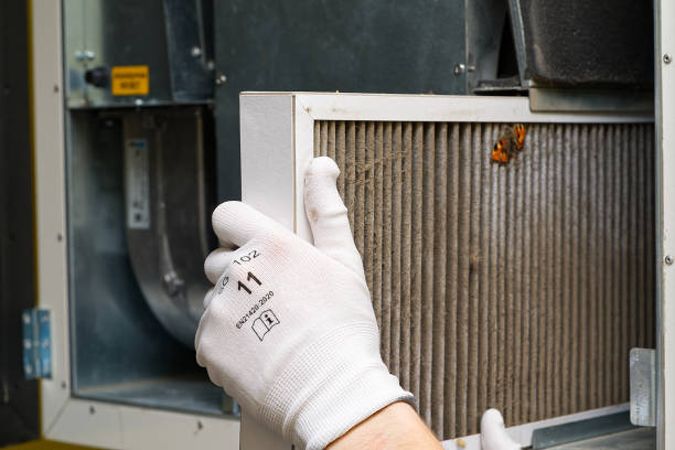 Best Affordable Duct Cleaning Services  in Kaibab Estates West, AZ